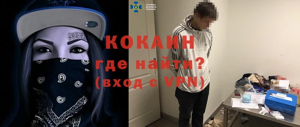 бошки Алексин