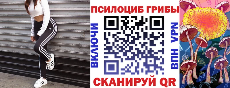 Галлюциногенные грибы прущие грибы  Ейск 