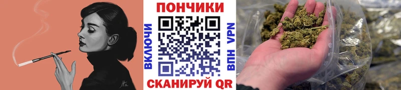 Бошки Шишки Amnesia  Ейск 